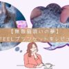 猫feelブランケットレビュー