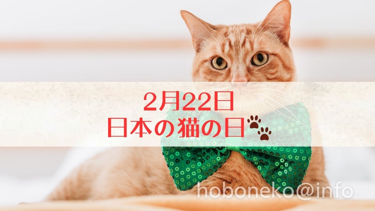 2月22日猫の日