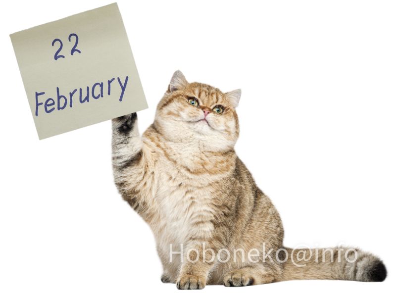 日本の猫の日　なぜ2月22日？